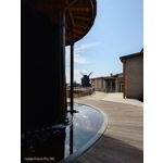 Pictures by this phone Nubia Focus Pro 5G