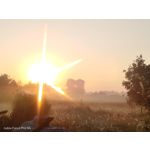 Pictures by this phone Nubia Focus Pro 5G