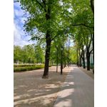 Foto dei utenti Nubia Red Magic 10 Pro