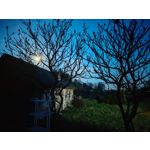 Foto dei utenti Nubia Red Magic 10 Pro