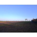 Foto dei utenti Nubia Red Magic 10 Pro