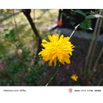 Foto dei utenti Nubia Red Magic 10 Pro