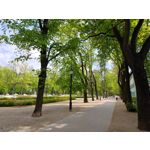 Foto dei utenti Nubia Red Magic 10 Pro