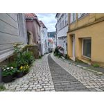 Pictures by this phone Nubia Red Magic 9S Pro