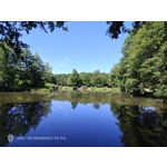 Pictures by this phone Nubia Red Magic 9S Pro