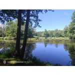 Pictures by this phone Nubia Red Magic 9S Pro