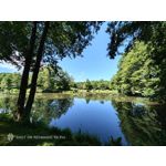 Pictures by this phone Nubia Red Magic 9S Pro