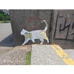 Pictures by this phone Nubia Red Magic 9S Pro