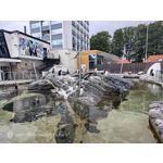 Pictures by this phone Nubia Red Magic 9S Pro