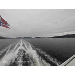 Pictures by this phone Nubia Red Magic 9S Pro