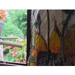 Pictures by this phone Nubia Red Magic 9S Pro