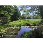 Pictures by this phone Nubia Red Magic 9S Pro