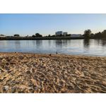 Pictures by this phone Nubia Red Magic 9S Pro