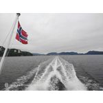 Pictures by this phone Nubia Red Magic 9S Pro