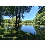 Pictures by this phone Nubia Red Magic 9S Pro