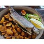 Pictures by this phone Nubia Red Magic 9S Pro