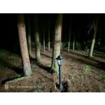 Pictures by this phone Nubia Red Magic 9S Pro