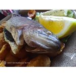 Pictures by this phone Nubia Red Magic 9S Pro