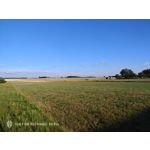 Pictures by this phone Nubia Red Magic 9S Pro