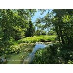 Pictures by this phone Nubia Red Magic 9S Pro