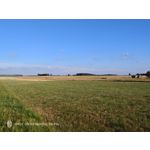 Pictures by this phone Nubia Red Magic 9S Pro