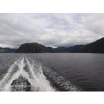 Pictures by this phone Nubia Red Magic 9S Pro