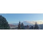 PICTURES FROM THIS PHONE