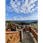 PICTURES FROM THIS PHONE