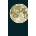 IMAGENS DESTE TELEFONE