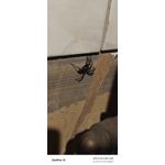 IMAGENS DESTE TELEFONE