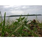 IMAGENS DESTE TELEFONE