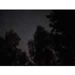 Foto dei utenti OnePlus 5