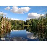 IMAGENS DESTE TELEFONE