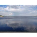 Foto dei utenti OnePlus 6