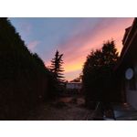 Foto dei utenti OnePlus 6