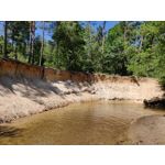 Foto dei utenti OnePlus 6