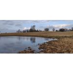 LAS FOTOS HECHAS CON ESTE TELÉFONO