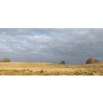 LAS FOTOS HECHAS CON ESTE TELÉFONO