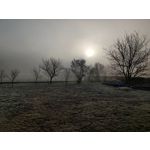 Foto dei utenti OnePlus 7T Pro