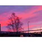 Foto dei utenti OnePlus 7T Pro