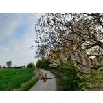 來自這款手機的圖片