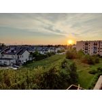 Foto dei utenti OnePlus 8