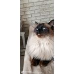 Imágenes de los usuarios OnePlus Nord 2T Imágenes de los usuarios OnePlus Nord 2T