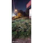 Imágenes de los usuarios OnePlus Nord 2T Imágenes de los usuarios OnePlus Nord 2T