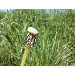 Foto dei utenti OnePlus Nord CE 3 Lite Foto dei utenti OnePlus Nord CE 3 Lite