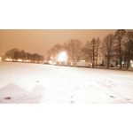 FOTOS AUS DIESEM HANDY