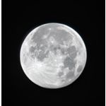 PICTURES FROM THIS PHONE