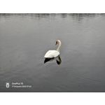 FOTO FATTE CON QUESTO TELEFONO