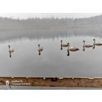 FOTO FATTE CON QUESTO TELEFONO