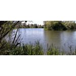 來自這款手機的圖片